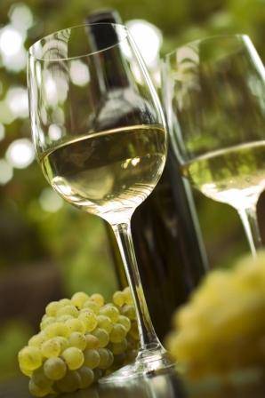 Você conhece a Sauvignon Blanc?