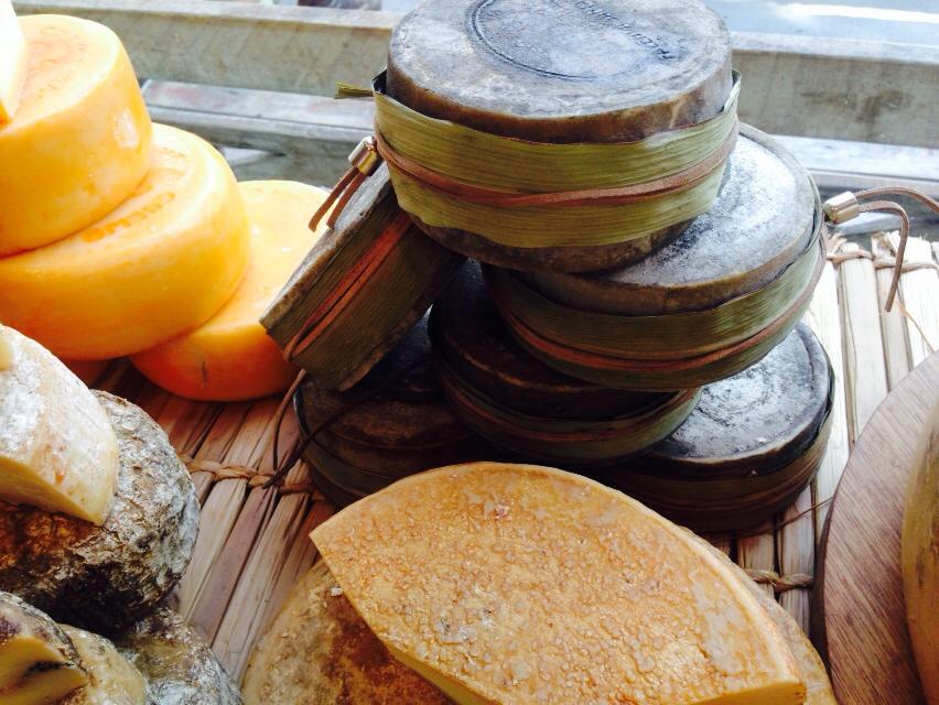 Queijos e vinhos? Agora a harmonização é com cerveja!