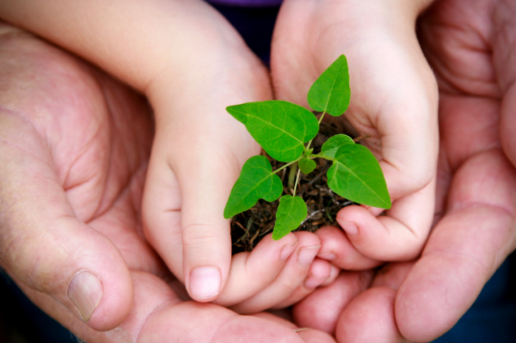 Feira promove debate sobre impactos ambientais