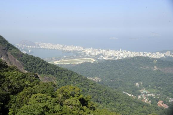 Mata Atlântica Mata atlântica