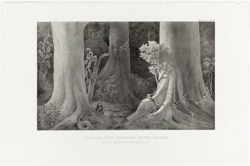 Instituto Moreira Salles abre no Carnaval