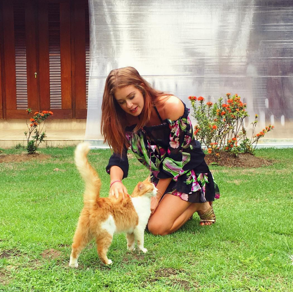 Marina Ruy Barbosa diz já ter resgatado mais de 300 gatos da rua