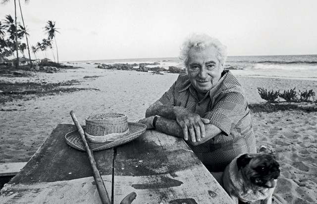 As cinco melhores exposições em cartaz