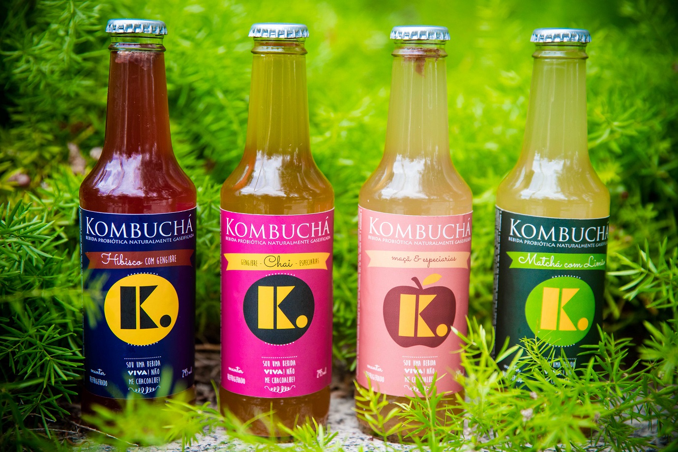 Kombucha; Cirtuo Org&acirc;nico