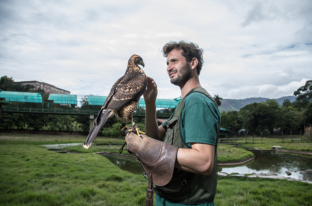 RioZoo aposta em novidades para apagar imagem de decadência