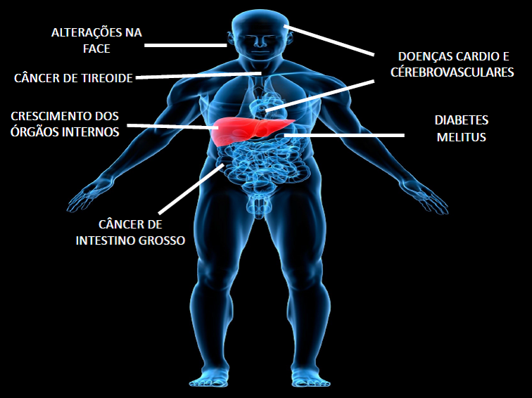 Mitos e verdades sobre medicina antiaging