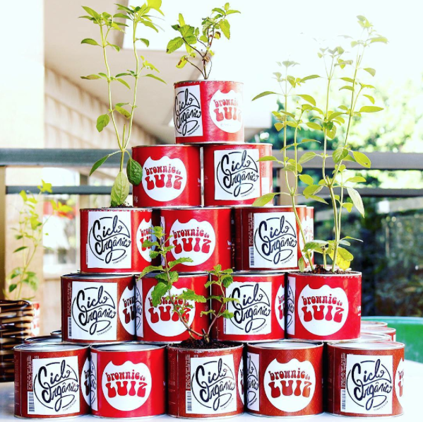 Projeto carioca transforma lixo domiciliar em adubo