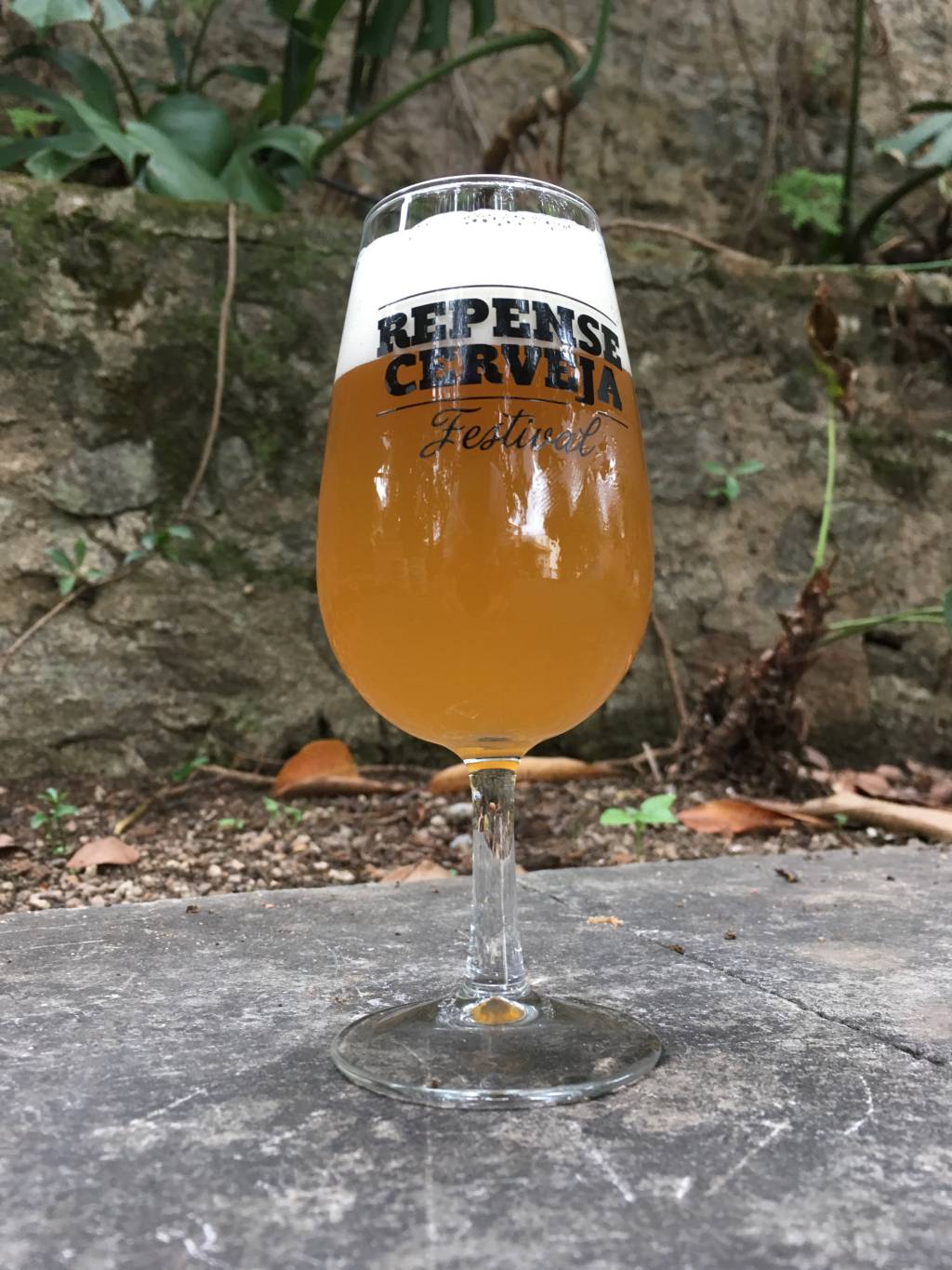 Repense Cerveja começa venda de ingressos nesta segunda (15)