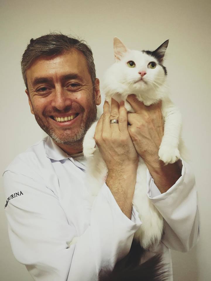 Página de veterinário de gatos faz sucesso no Facebook