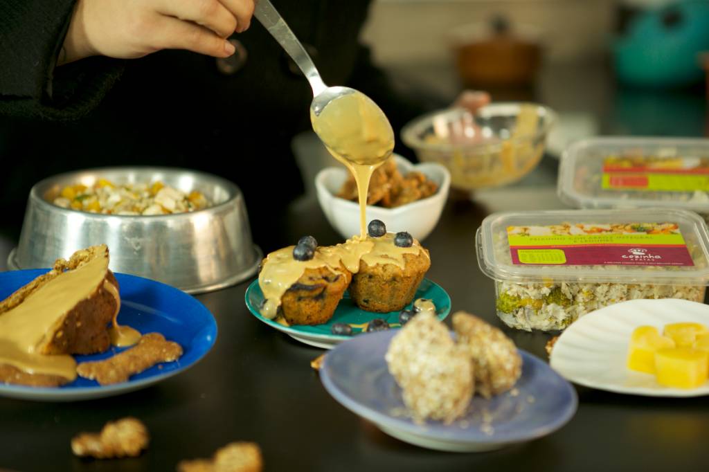 Plataforma oferece curso de alimentação caseira para cães