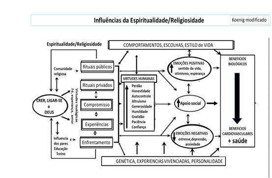 grafico-2