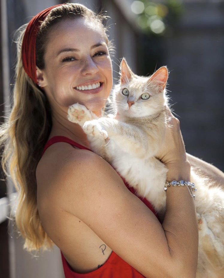 Monte Carlo lança coleção de charms em parceria com ONG animal