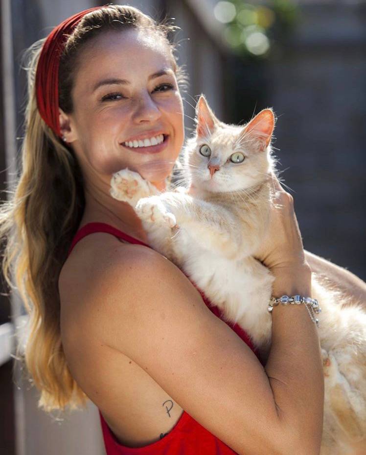 Monte Carlo lança coleção de charms em parceria com ONG animal