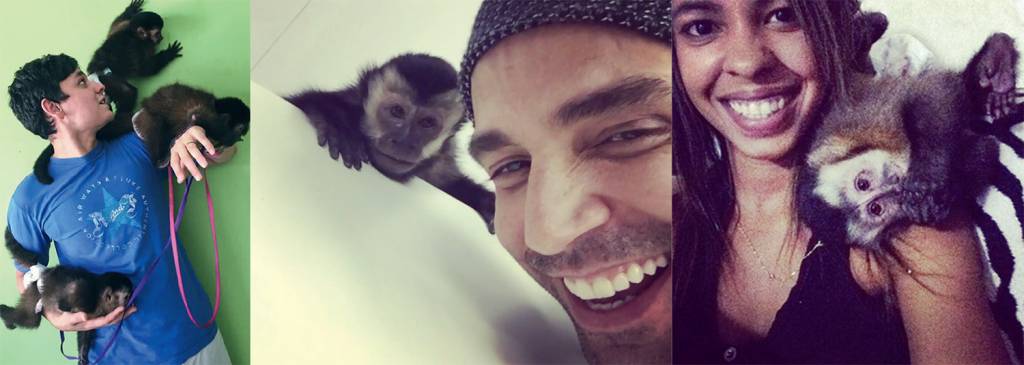 REPRODUÇÃO INSTAGRAM