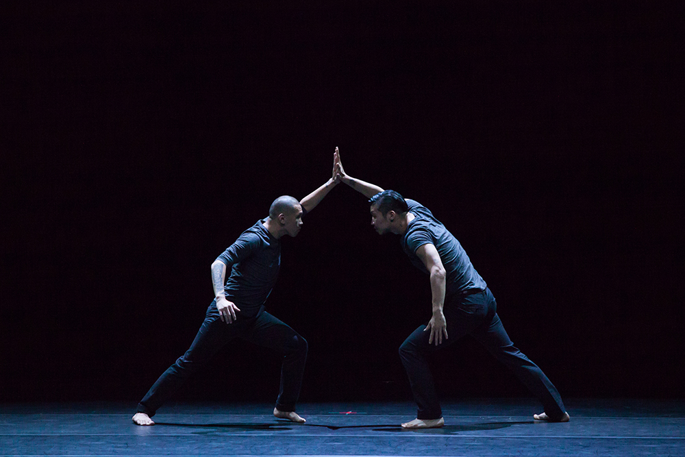 Festival Dança em Trânsito chega à 15ª edição com atrações grátis