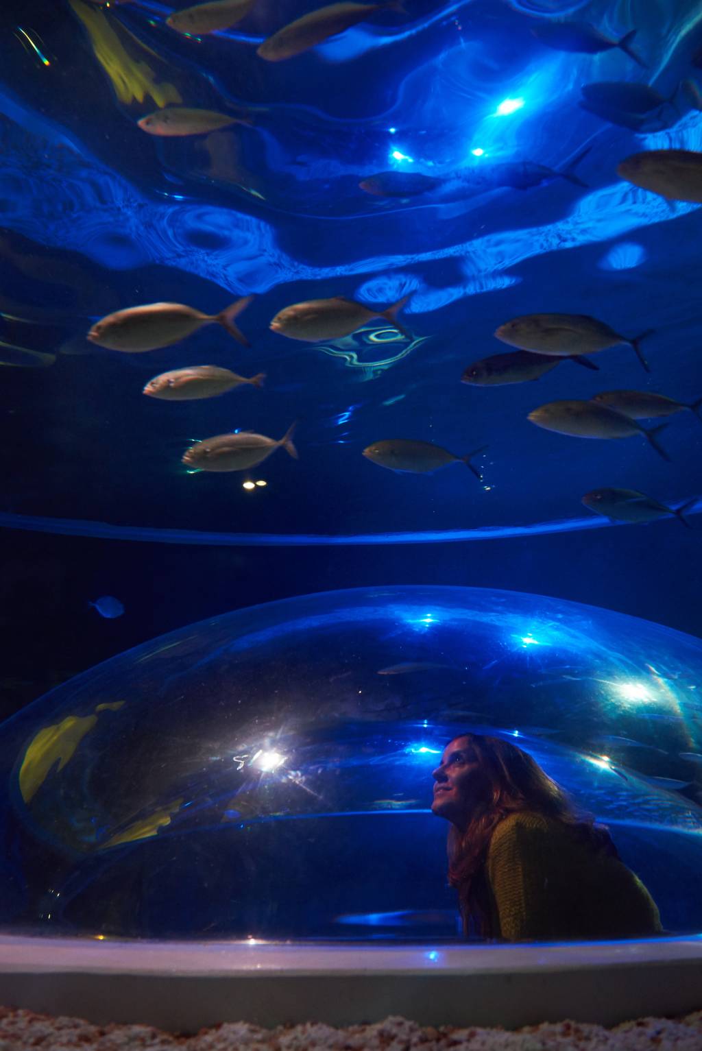 AquaRio abre tour aos bastidores