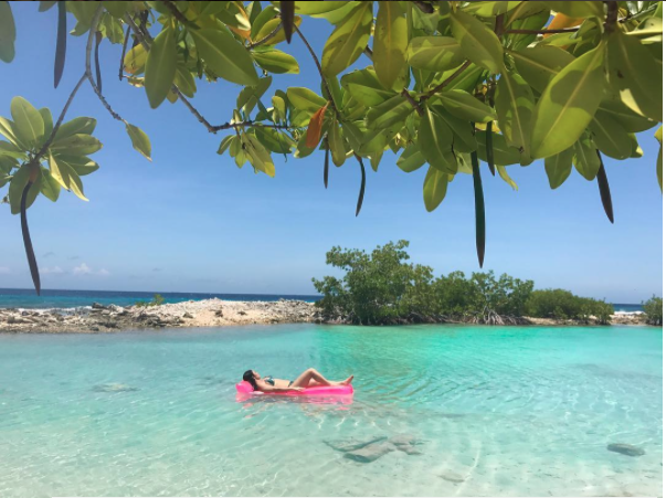 Melhores cases a prova d’água para celular