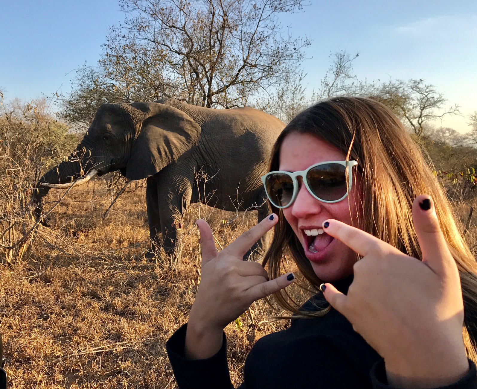 A viagem dos sonhos: que tal férias na África?