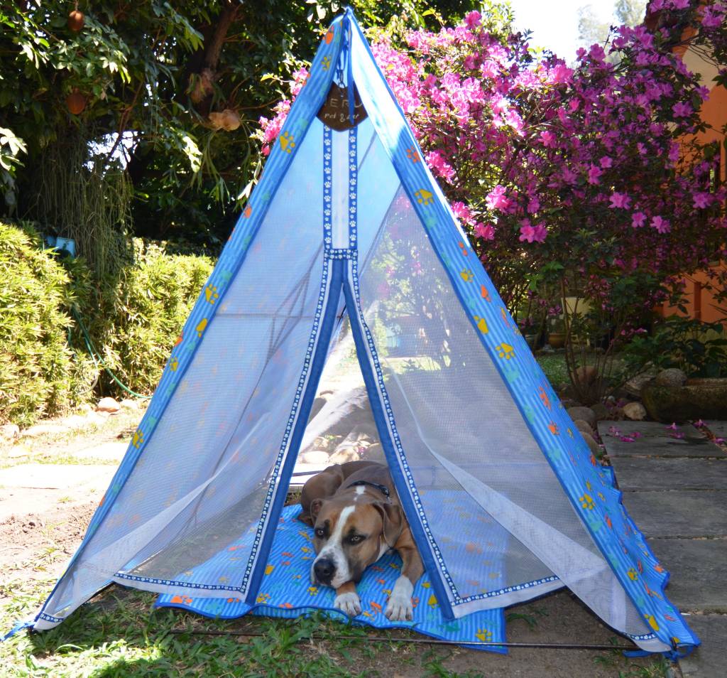 Artista plástica cria cabanas confortáveis para cachorros