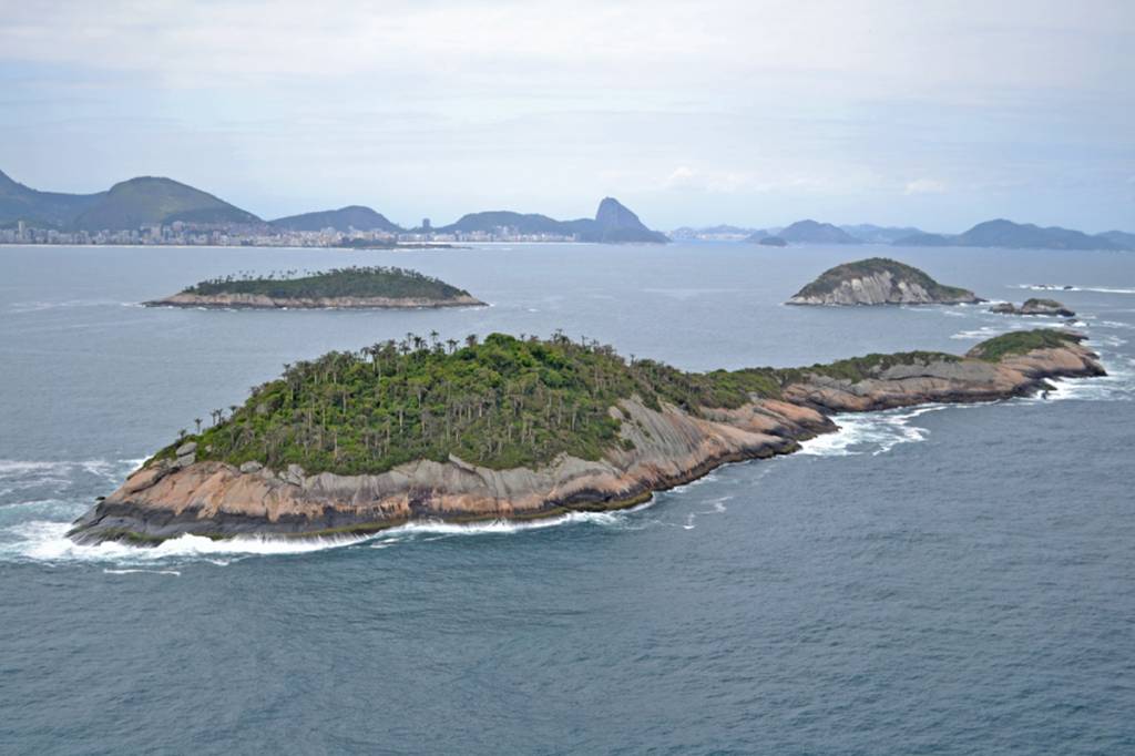 Nova fase de pesquisa sobre Ilhas Cagarras foca em espécies exóticas
