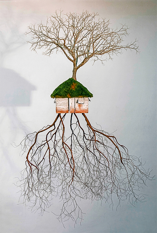 Jorge Mayet