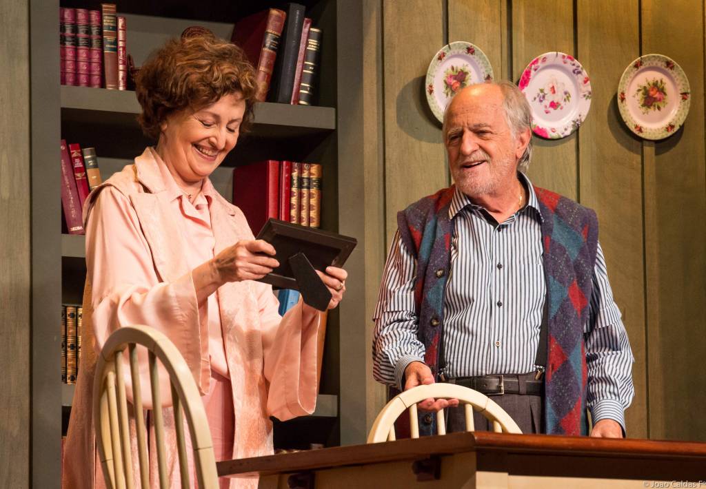 Crítica: Ary Fontoura e Ana Lucia Torre em emocionante peça