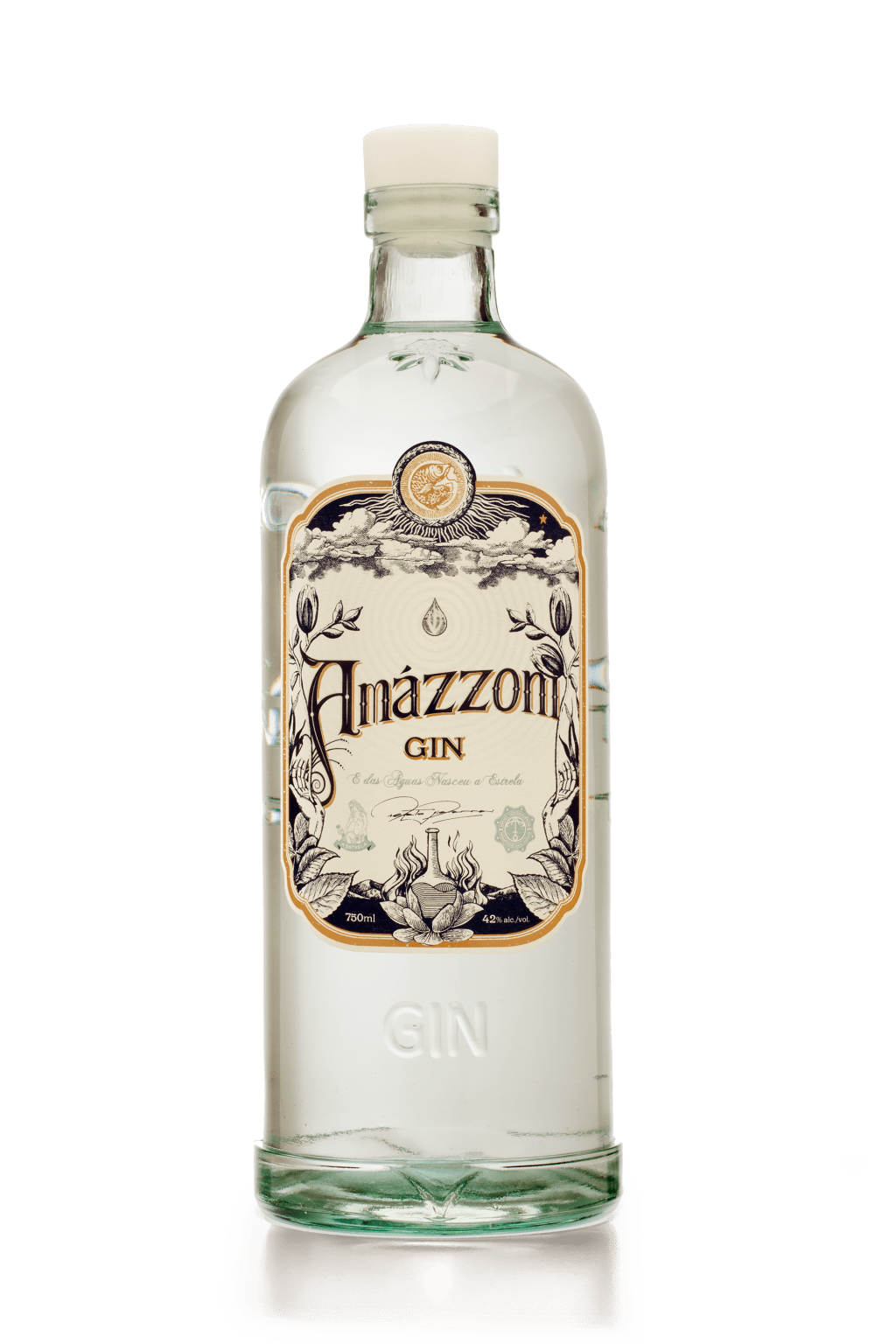 Gim brasileiro Amázzoni é premiado em concurso mundial