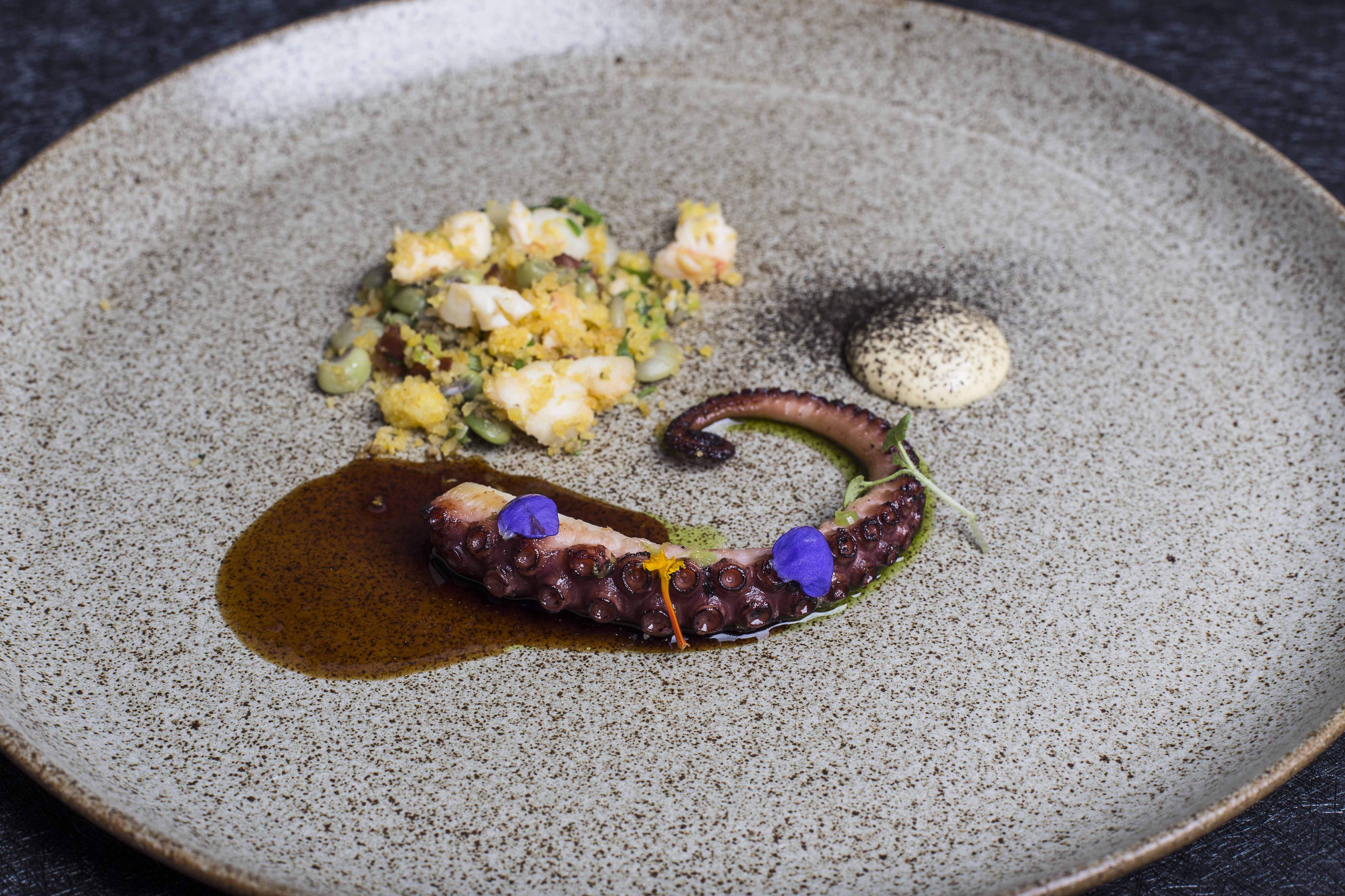 Origem. polvo, cuscuz de lagosta e feij&atilde;o-verde