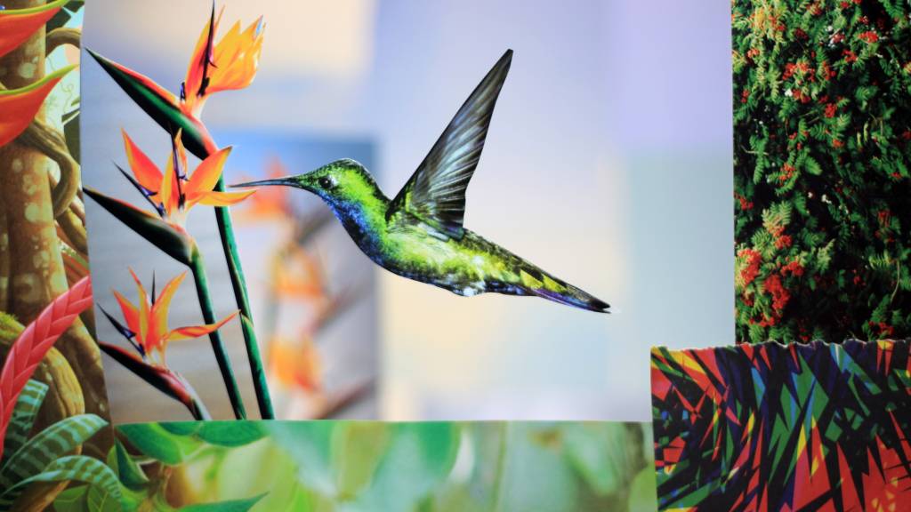 Mostra de cinema independente infantil ocupa o CCBB