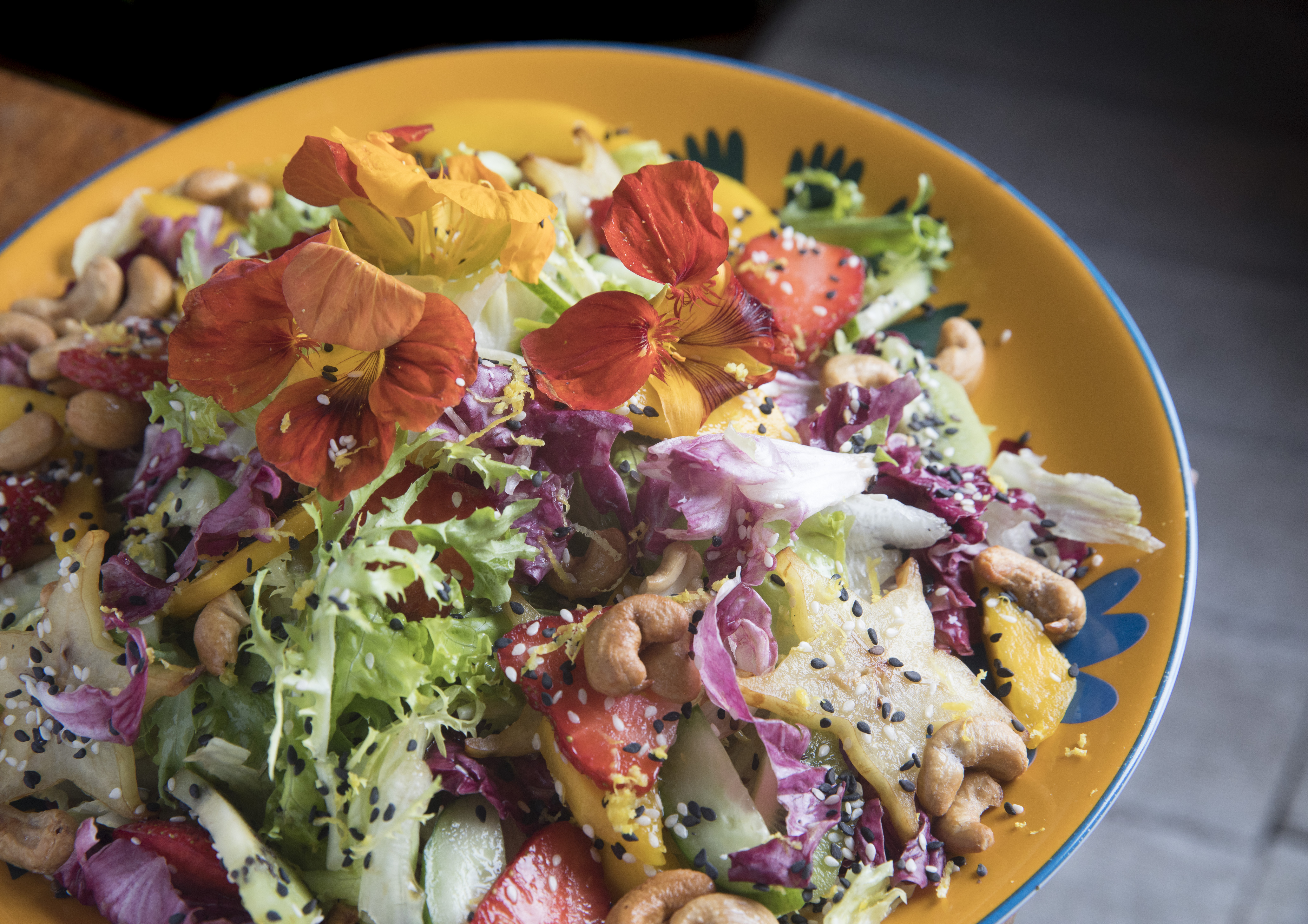 Aloha; Circuito de Verão na Orla