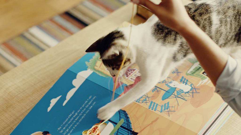Whiskas lança livro para gatos