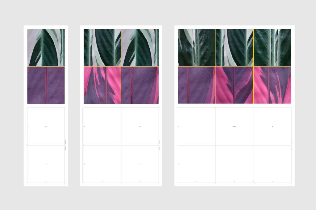 Chiara Banfi explora a relação entre música e natureza em exposição