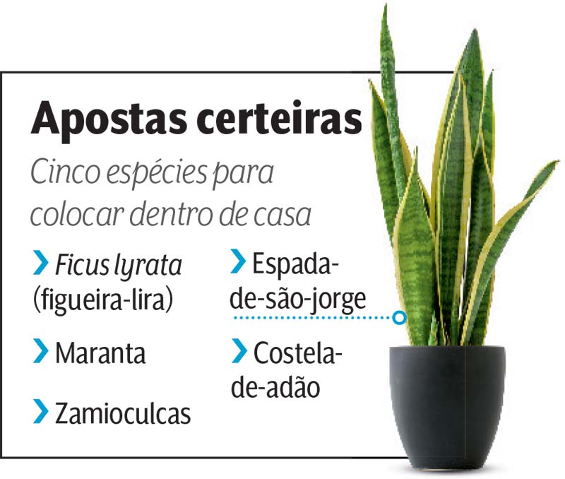 espada de s&atilde;o jorge