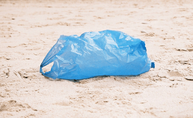 Governo sanciona lei que proíbe sacolas descartáveis em supermercados