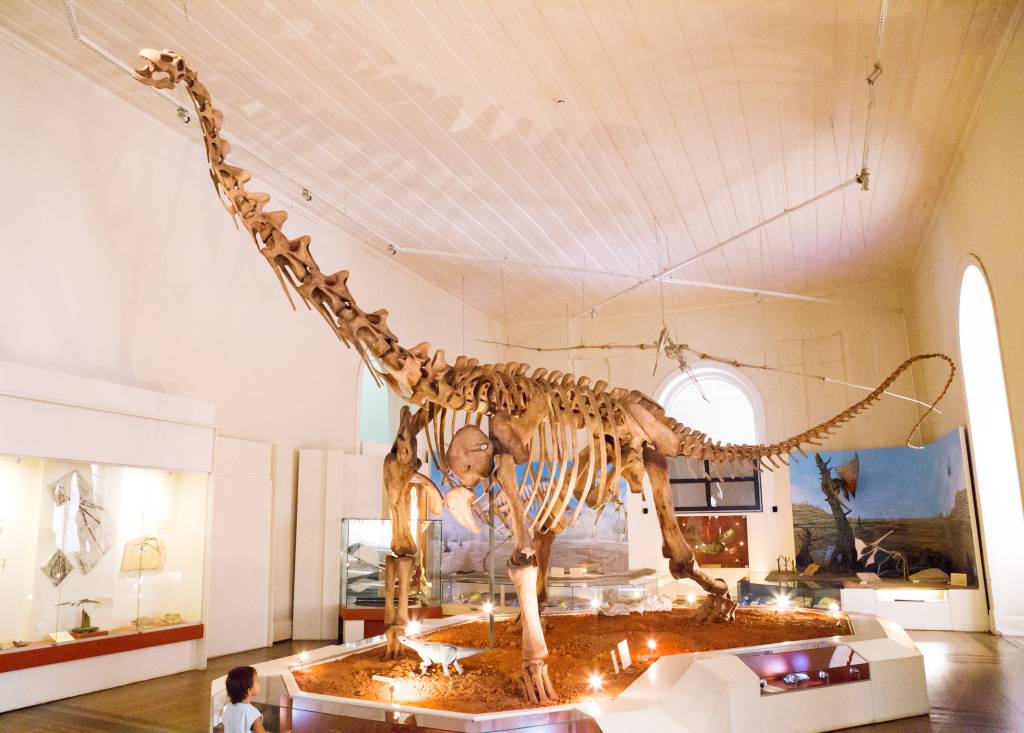 Ossada de titanossauro voltará ao Museu Nacional