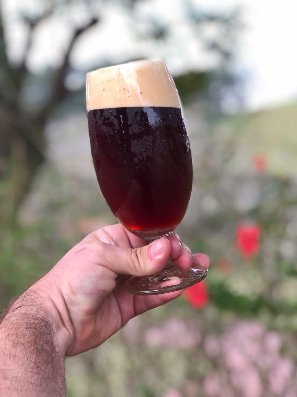 Bottobier traz de volta a doppelbock Thor em edição limitada