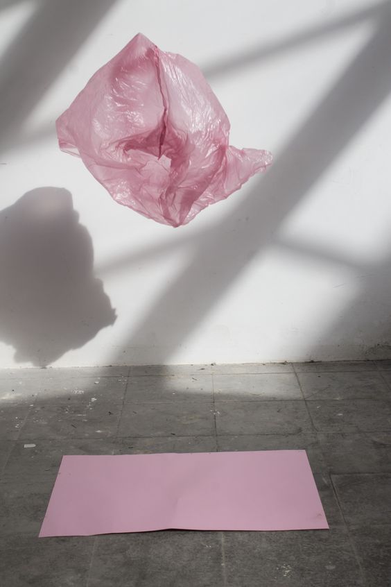 Como e por que me tornei uma “eco-chata”