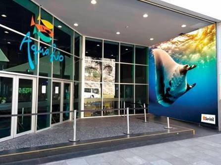 Artista pinta arraia gigante na fachada do AquaRio