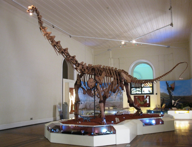 Museu Nacional reinaugura espaço dedicado aos dinossauros