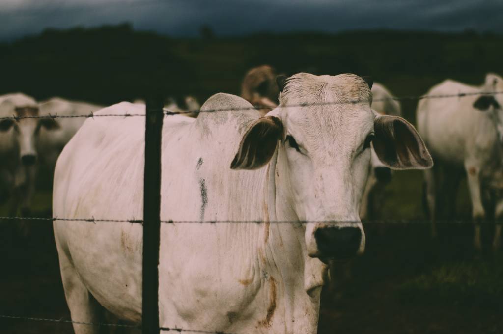 feliphe-schiarolli-JzWHIQuXmoo-unsplash feliphe-schiarolli-JzWHIQuXmoo-unsplash