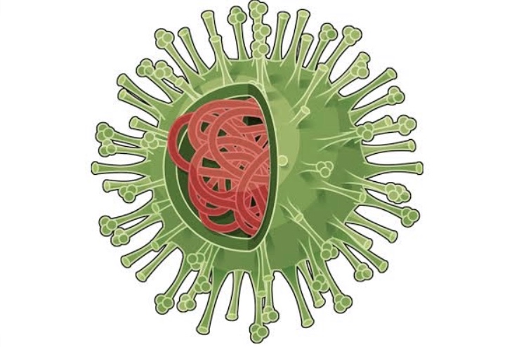 Coronavírus: em curva ascendente, cidade já tem 3656 casos confirmados