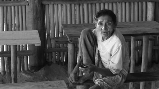 A vida é sincronicidade: de uma live de carnaval cheguei aos caiçaras