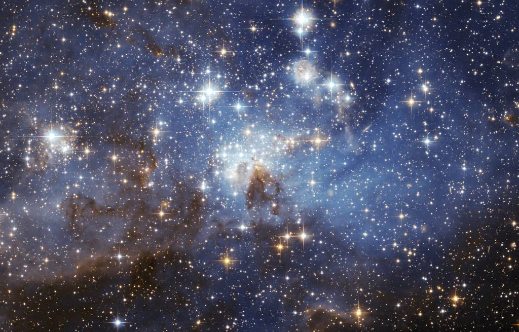 Quarentena: Claudia Lisboa indica livros de astrologia