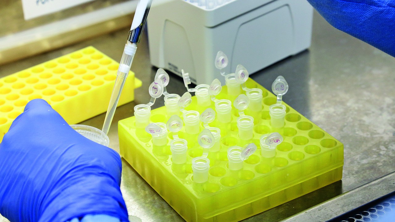 a imagem mostra kit de teste molecular RT-PCR