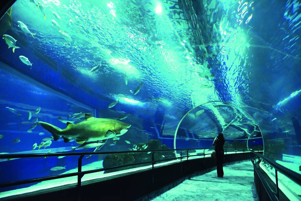 Turismo do Rio prepara estratégias para retomada pós-pandemia