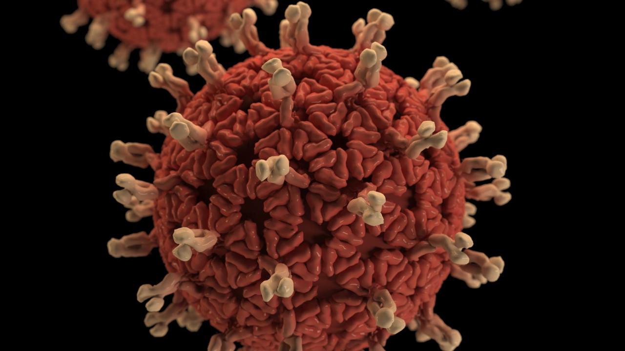 cdc-c4IBsSCuwIU-unsplash