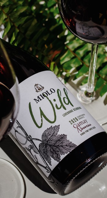 gamay_wild_2 gamay_wild_2