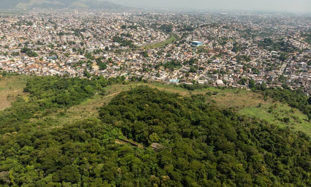 FLORESTA CAMBOAT&Aacute; SITE SONIA RABELLO