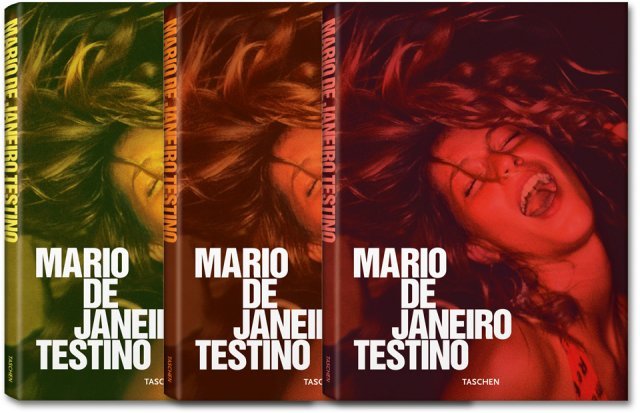 caetano livro testino