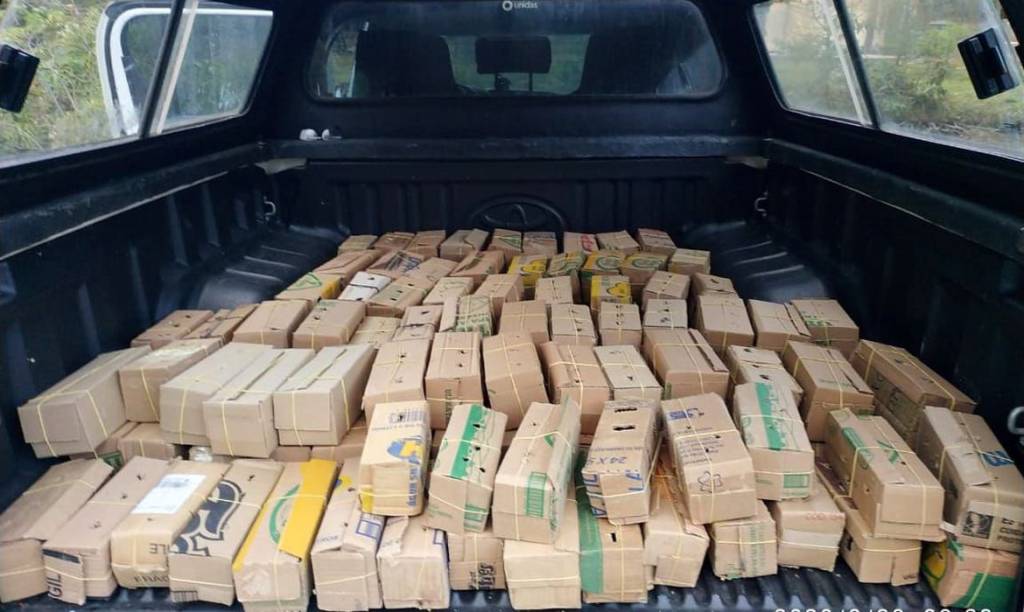 PRF faz apreensões de pássaros silvestres em rodovia do Rio